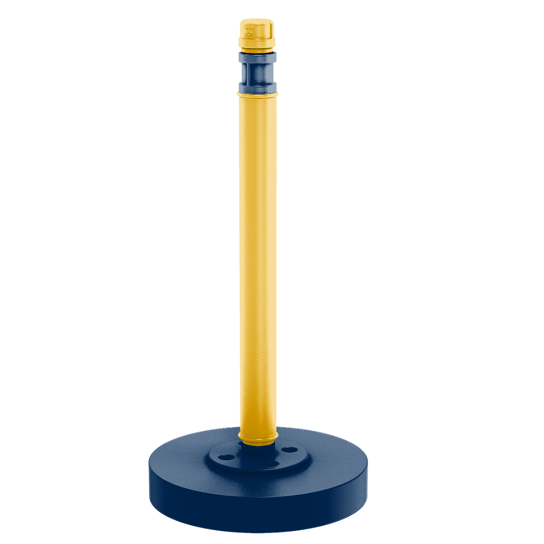 Collegiate Collection Countertop Paper Towel Stand Mountaineer State Blue and Gold Edition