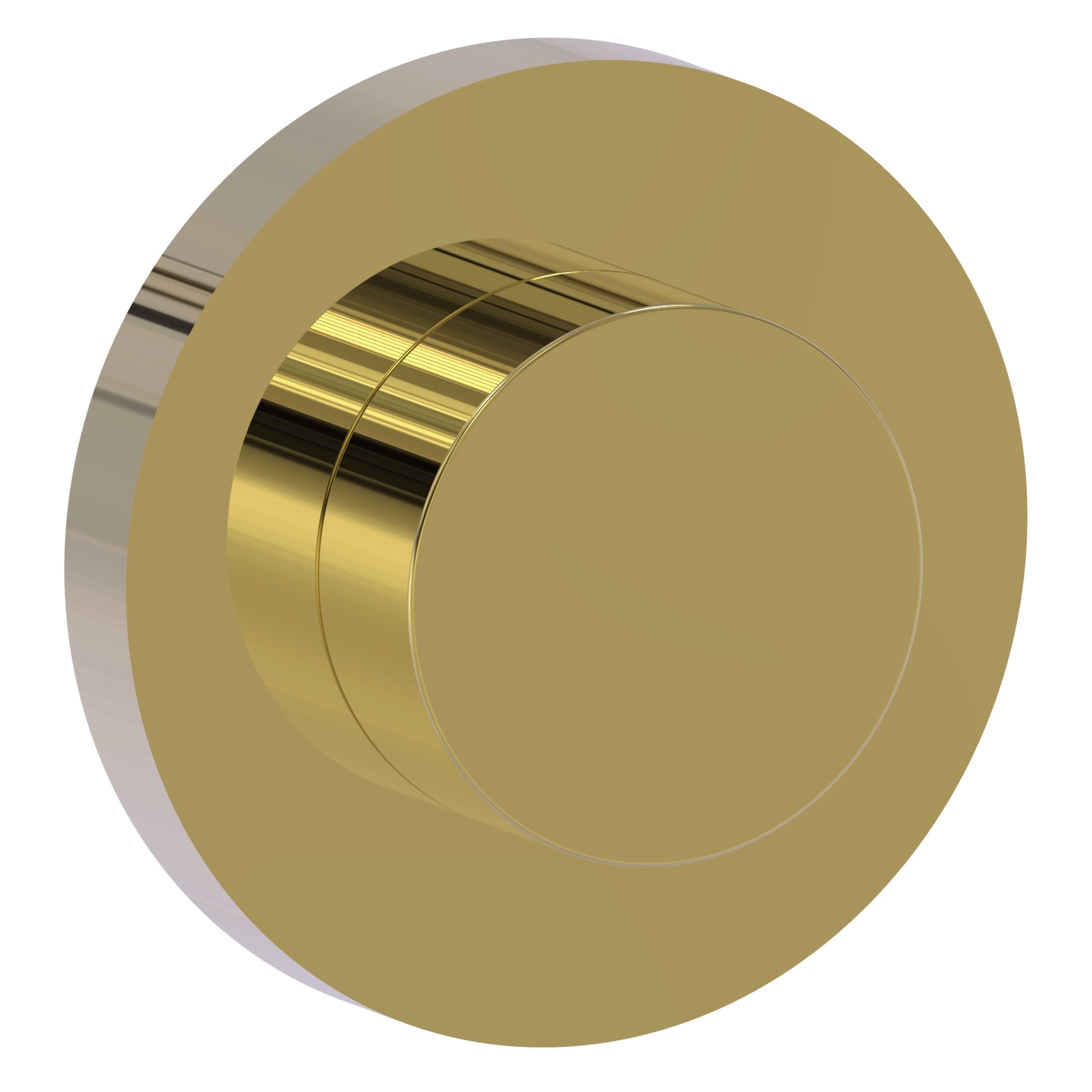 #finish_Unlacquered Brass